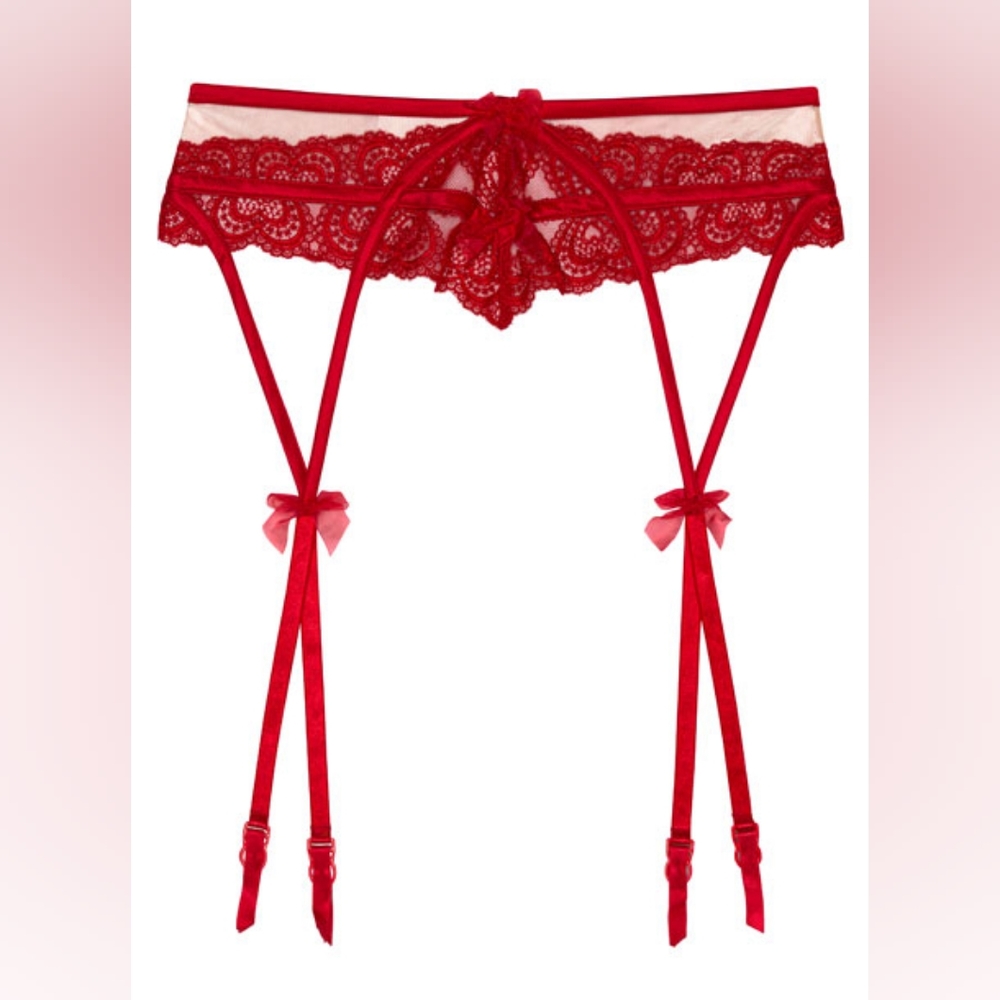 D5. NWT FOR LOVE AND LEMONS LACE HEART EMBROIDERY GARTER BELT